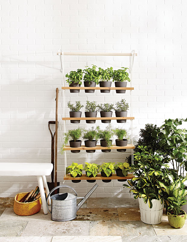 Beautify small spaces with a herb garden